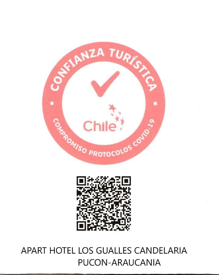Pucón Los Gualles De La Candelaria Apart Hotel المظهر الخارجي الصورة